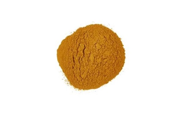 CANELA MOLIDA BT 550 GR