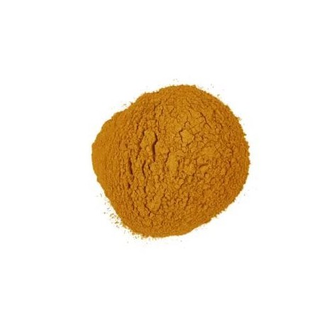 CANELA MOLIDA BT 550 GR