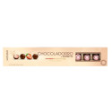 CHOCOLADORRO STRAWBERRY Y WINE 100 GR