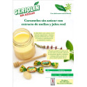 GERIOLIN MELISA CON JALEA REAL S/AZ 1 KG